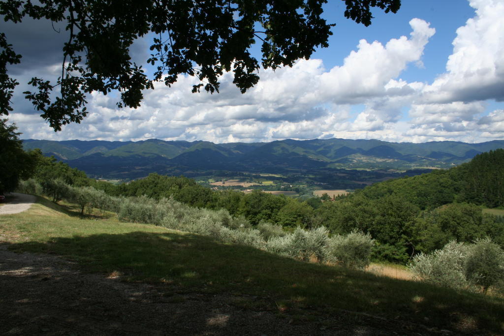 Podere Capitignano ボルゴ・サン・ロレンツォ エクステリア 写真