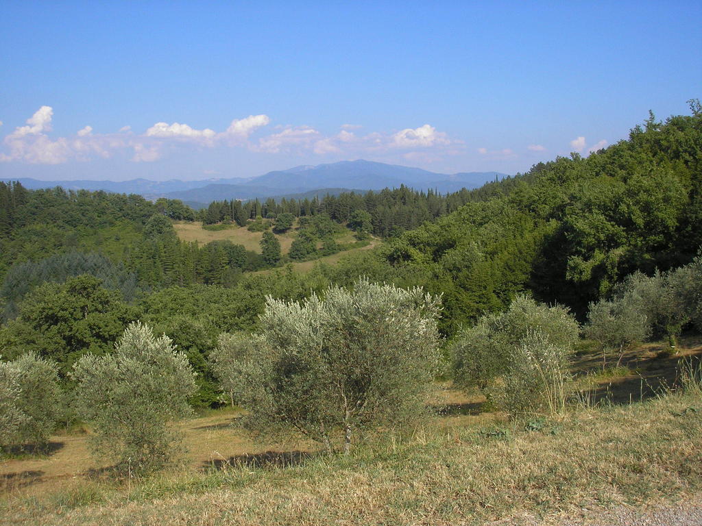 Podere Capitignano ボルゴ・サン・ロレンツォ エクステリア 写真